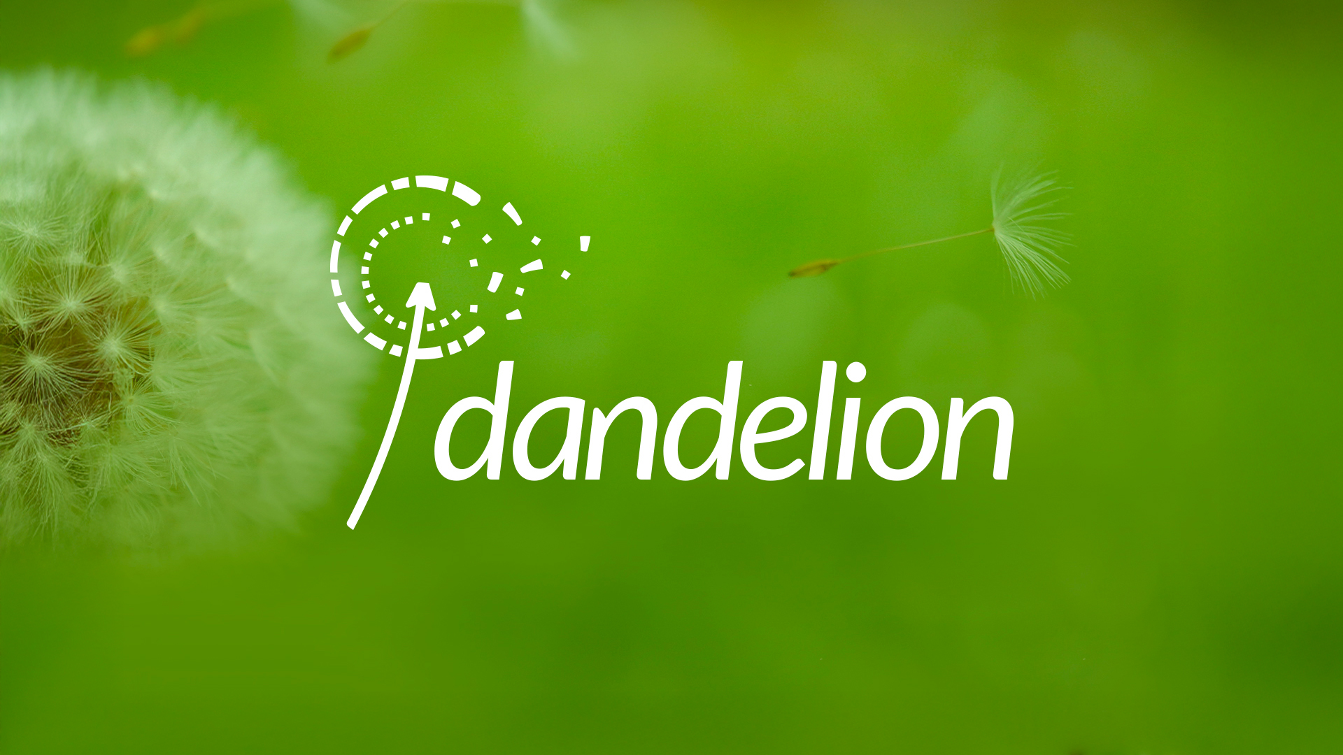 Dandelion Datatables : Un logo qui reflète légèreté et modernité